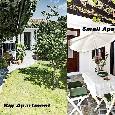 Apartments Villa Elisabeth 오흐리드 외부 사진